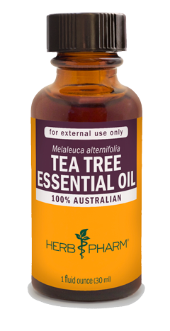 TEA TREE ESSENTIAL OIL 1 fl oz Herb Pharm