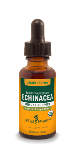 ECHINACEA ALCOHOL FREE 1 fl oz Herb Pharm